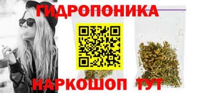 a pvp Славгород