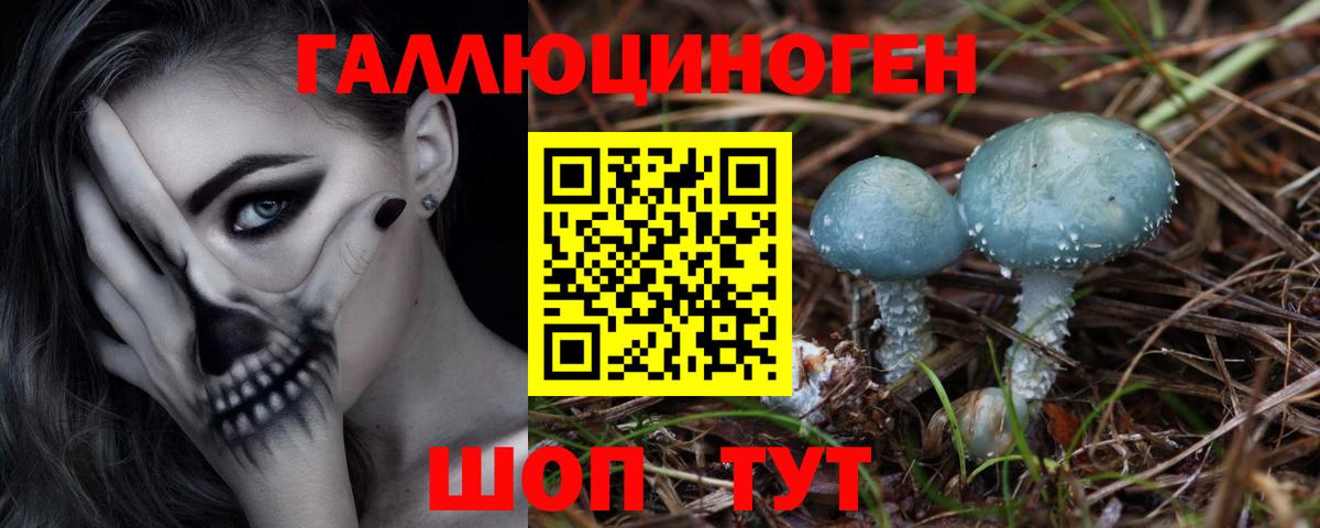 Галлюциногенные грибы прущие грибы Балтийск