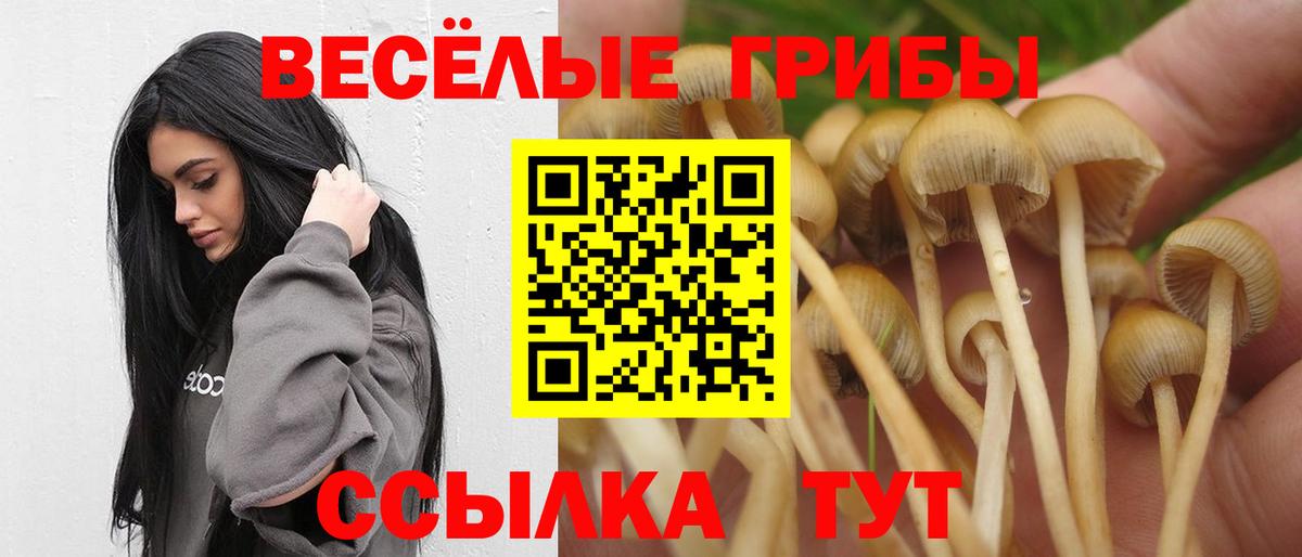 Псилоцибиновые грибы Psilocybe  Вход с VPN  Балтийск  купить  цена  Галлюциногенные грибы ЛСД 