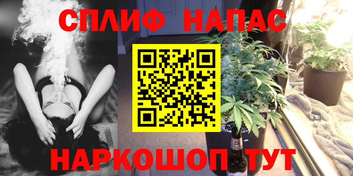Конопля MAZAR Балтийск
